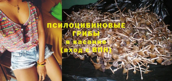спиды Балабаново